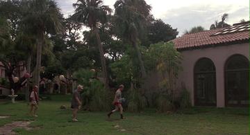 Cocoon_The pool house