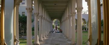 Real Genius_Chris bumps into people on campus