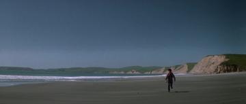 The Fog_Andy finds driftwood on the beach